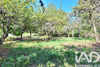 achat terrain crandelles 15250