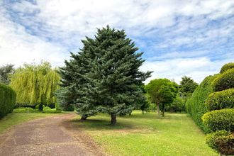 achat terrain crespieres 78121