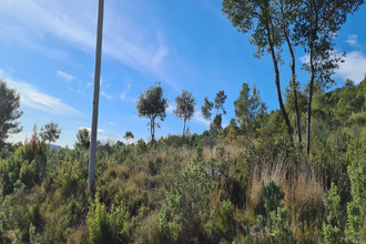 achat terrain cuers 83390