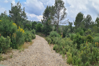 achat terrain cuers 83390