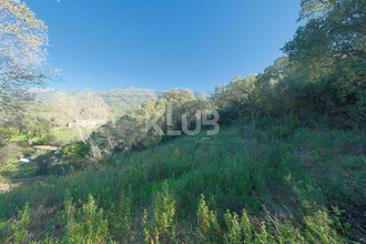 achat terrain cuttoli-corticchiato 20167