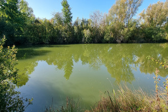 achat terrain cuy 89140