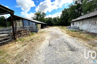 achat terrain cuzieu 42330