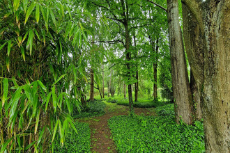 achat terrain dannemois 91490