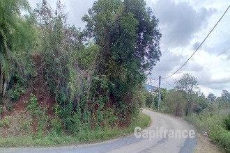 achat terrain dembeni 97660