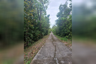 achat terrain deshaies 97126