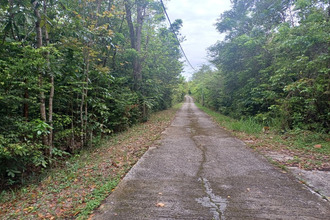 achat terrain deshaies 97126