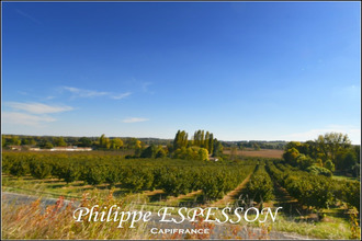 achat terrain dieulivol 33580