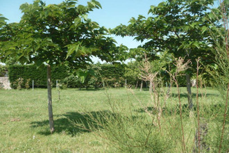 achat terrain dolus-d-oleron 17550