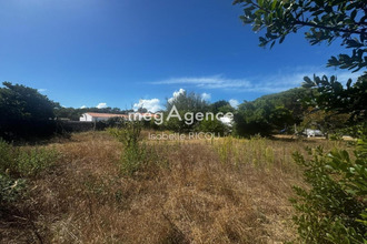 achat terrain dolus-d-oleron 17550