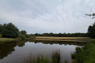 achat terrain dournazac 87230