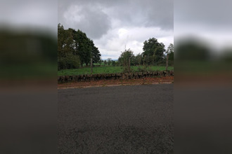 achat terrain droiturier 03120