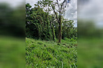 achat terrain ducos 97224