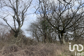 achat terrain dunet 36310