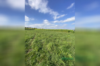 achat terrain eclassan 07370