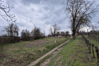 achat terrain eguisheim 68420