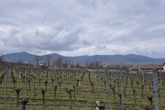 achat terrain eguisheim 68420