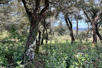 achat terrain entrecasteaux 83570