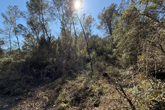 achat terrain entrecasteaux 83570