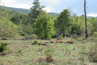 achat terrain entrevaux 04320