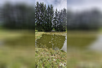 achat terrain epinal 88000