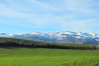 achat terrain err 66800