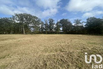 achat terrain ervauville 45320