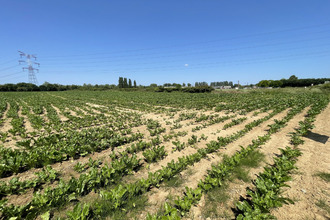 achat terrain etreux 02510