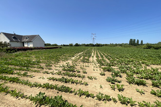 achat terrain etreux 02510