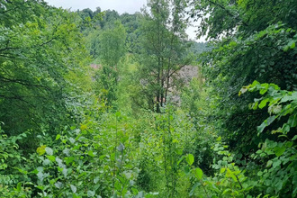 achat terrain fains-veel 55000