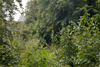 achat terrain fains-veel 55000