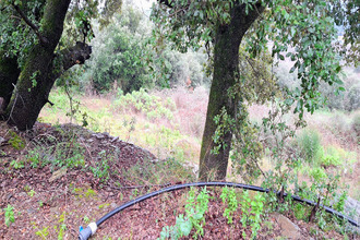 achat terrain faugeres 34600