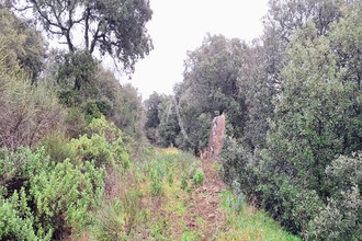 achat terrain faugeres 34600