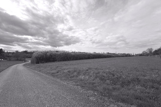 achat terrain favieres 54115