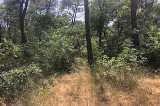 achat terrain fayence 83440