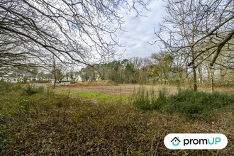 achat terrain ferel 56130