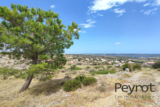 achat terrain fitou 11510