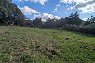 achat terrain foce 20100