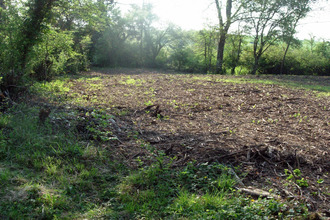 achat terrain foissy-les-vezelay 89450