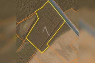 achat terrain fontaines-en-sologne 41250