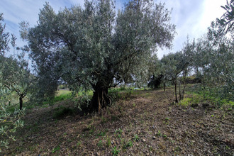 achat terrain fontes 34320