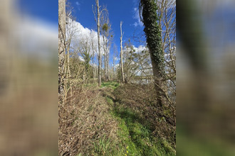 achat terrain fontgombault 36220