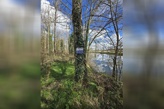 achat terrain fontgombault 36220