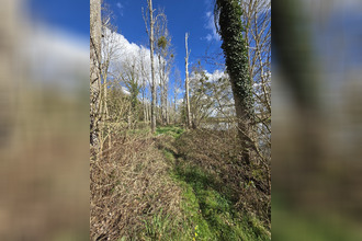 achat terrain fontgombault 36220