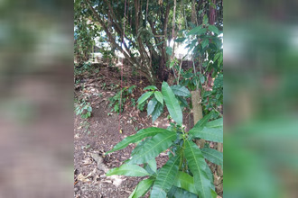 achat terrain fort-de-france 97200