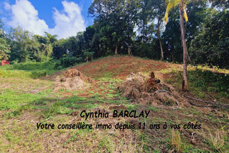 achat terrain francois 97240