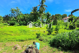 achat terrain francois 97240