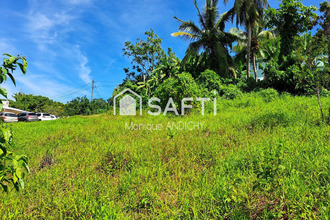 achat terrain francois 97240