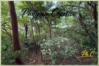 achat terrain francois 97240