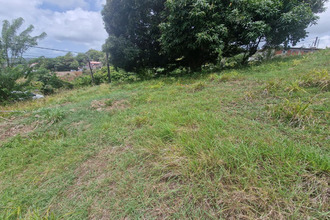 achat terrain francois 97240